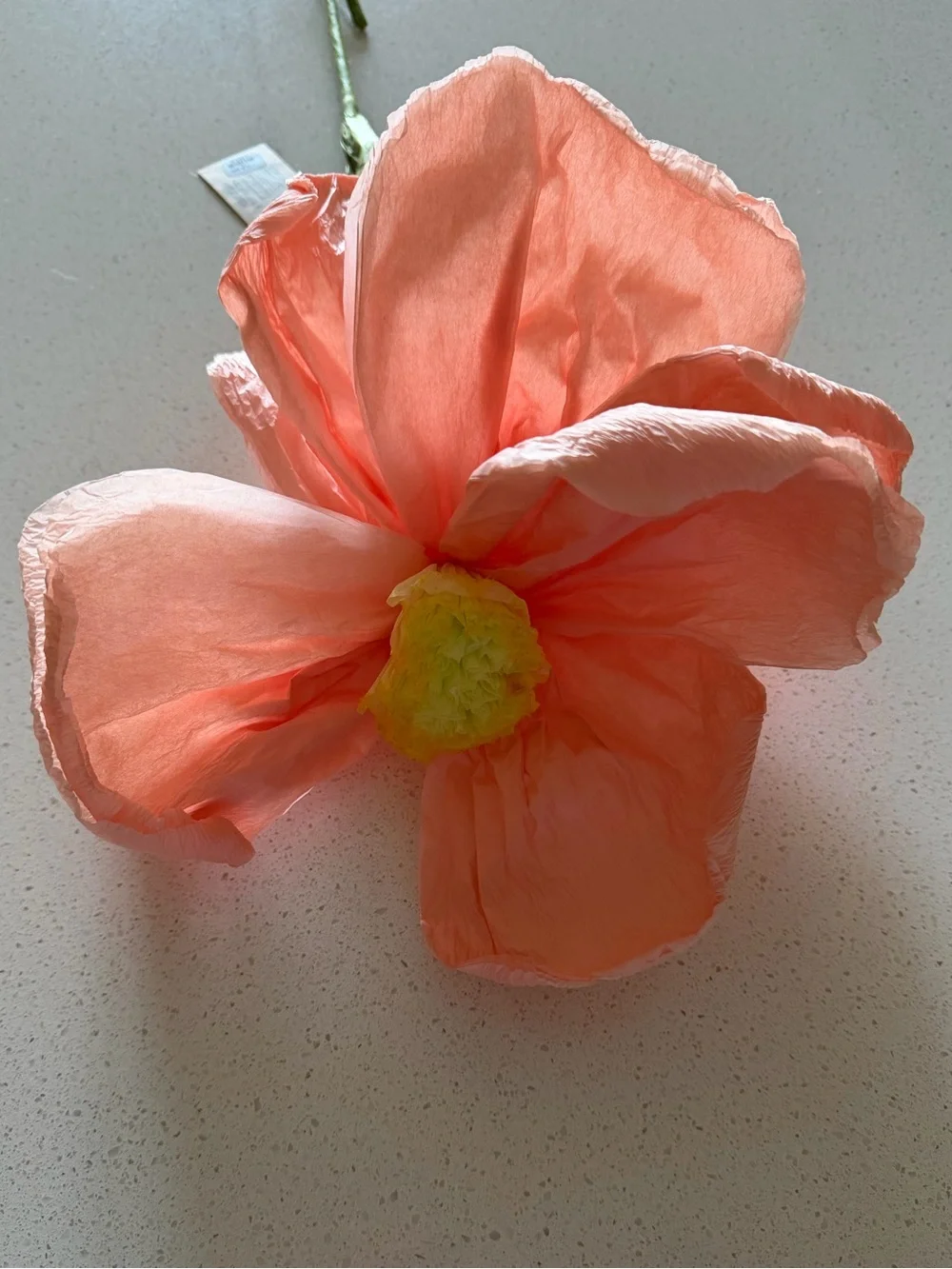 Creative Co-Op | Large Paper Flower Stem | NWT | Peach | Floral | Colorful | New